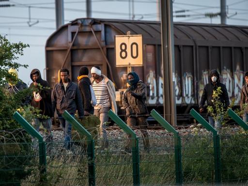 Immer wenn es anfängt zu dämmern, machen sich Flüchtlinge zu Hunderten auf den Weg Richtung Eurotunnel.