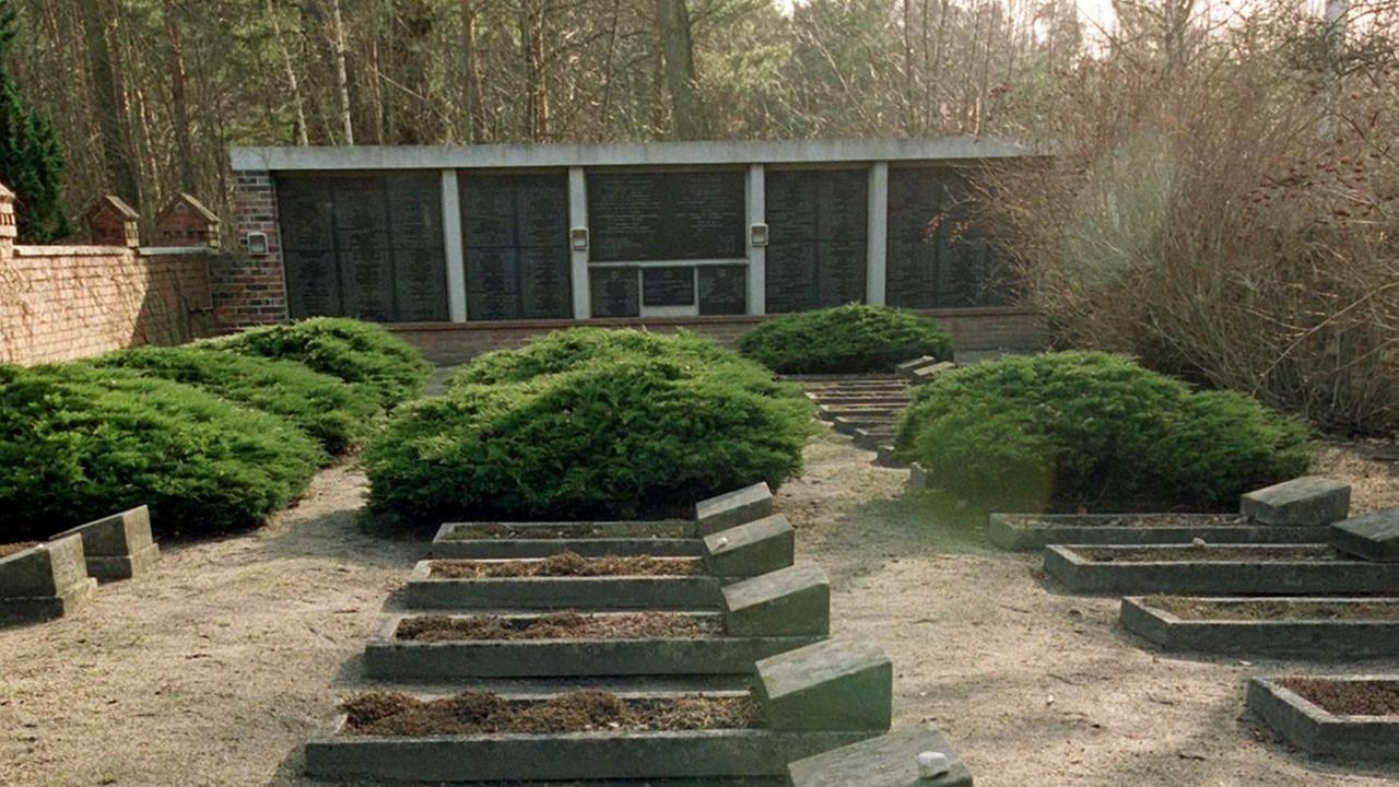Blick über Gräber am 10.02.2000 auf dem jüdischen Friedhof von Tröbitz in der Niederlausitz. Im April 1945 endete in Tröbitz der letzte Transport mit KZ-Häftlingen, den die SS zur Vernichtung vom Lager Bergen-Belsen losgeschickt hatte. Nach der Befreiung durch die Rote Armee werden 2.300 halbtote Menschen, Juden aus verschiedenen Ländern, in Tröbitz einquartiert. Blick über Gräber am 10.02.2000 auf dem jüdischen Friedhof von Tröbitz in der Niederlausitz. Im April 1945 endete in Tröbitz der letzte Transport mit KZ-Häftlingen, den die SS zur Vernichtung vom Lager Bergen-Belsen losgeschickt hatte. Nach der Befreiung durch die Rote Armee werden 2.300 halbtote Menschen, Juden aus verschiedenen Ländern, in Tröbitz einquartiert.