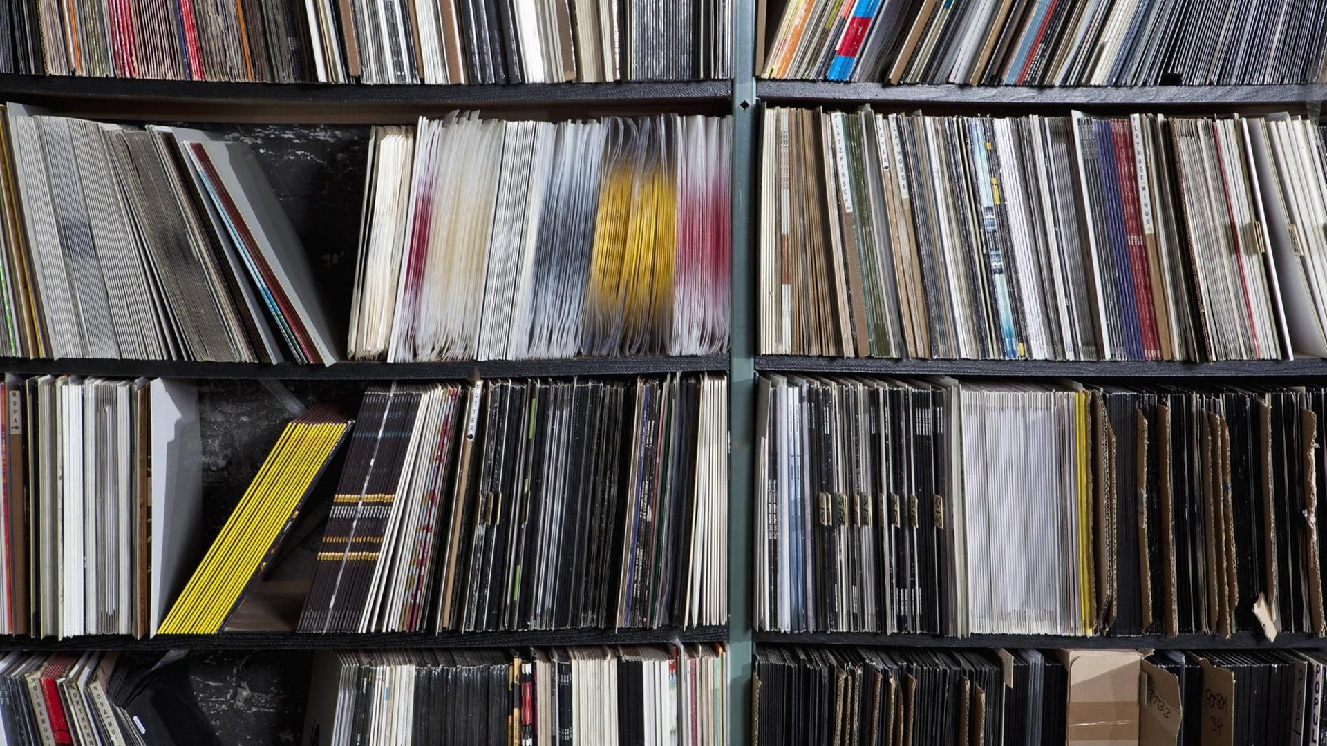 Ein Plattenregal, gefüllt mit hunderten von Vinylalben. Ein Plattenregal, gefüllt mit hunderten von Vinylalben.
