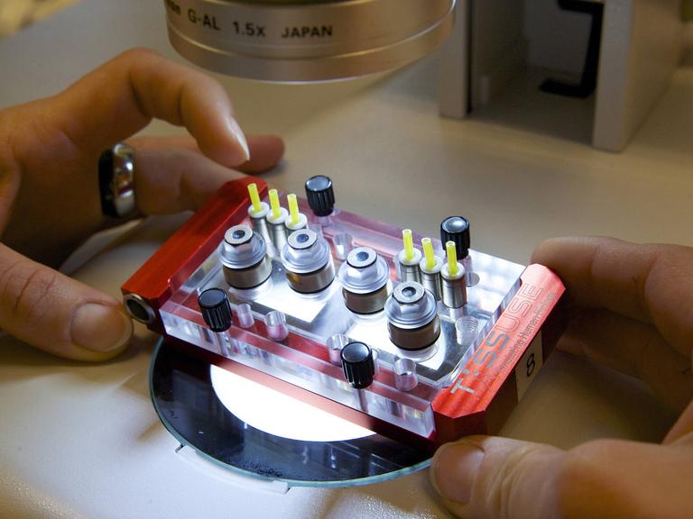 Ein Multi-Organ-Chip - etwa smartphonegroß mit Zylindern, die Gewebe enthalten