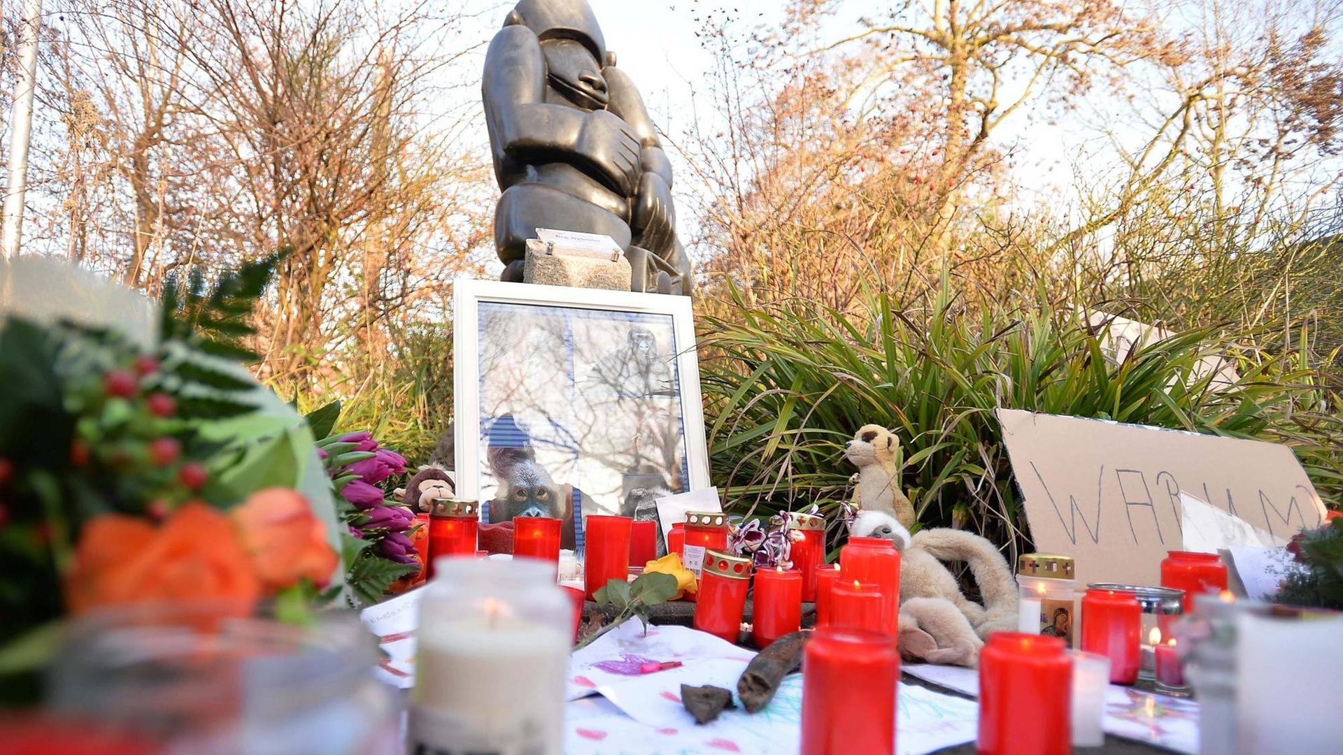 Das Foto zeigt Blumen und Kerzen vor dem Zoo in Krefeld.