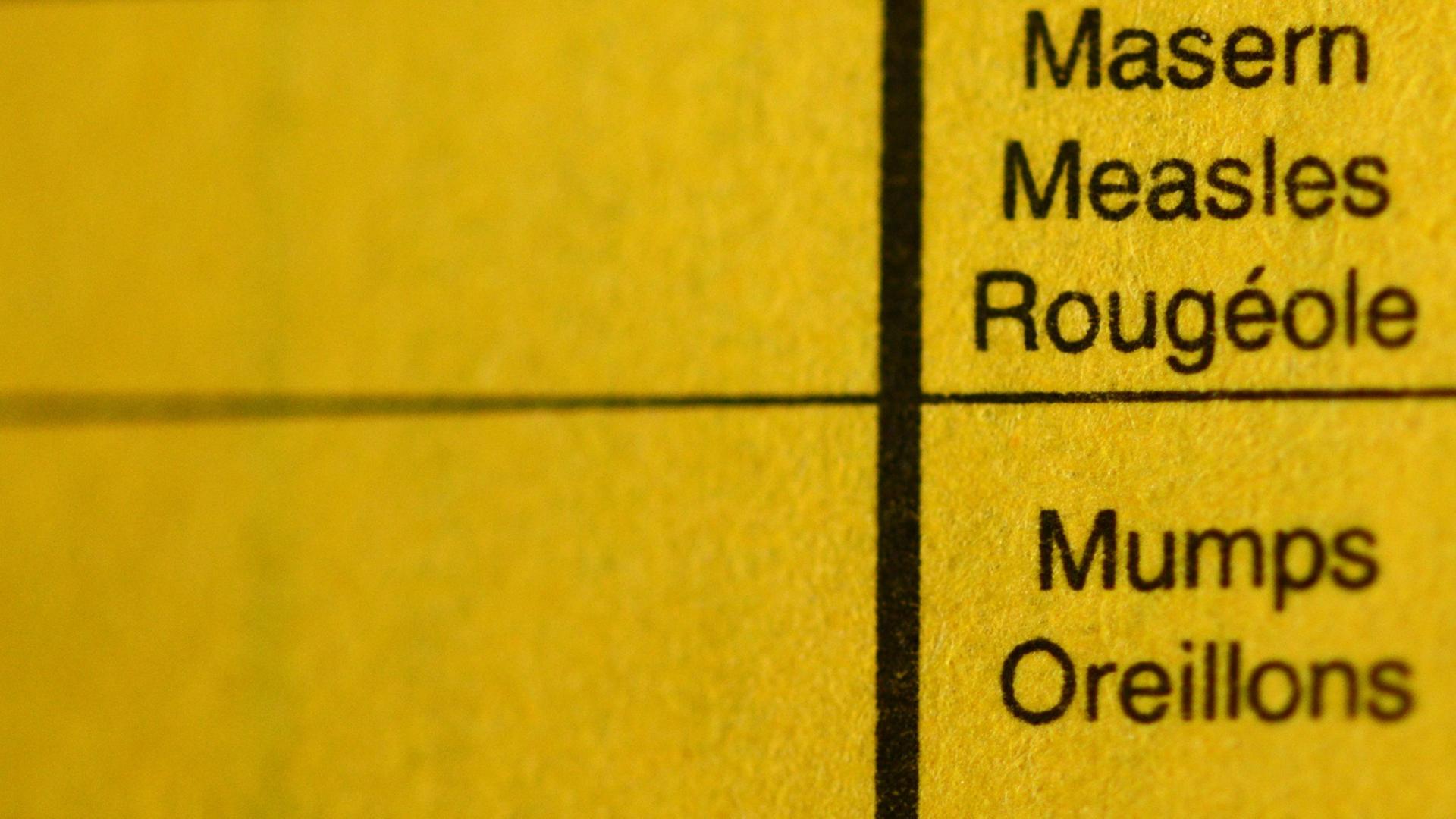 Ein Impfbuch mit den nichtangekreuzten Feldern Masern, Mumps und Röteln Ein Impfbuch mit den nichtangekreuzten Feldern Masern, Mumps und Röteln