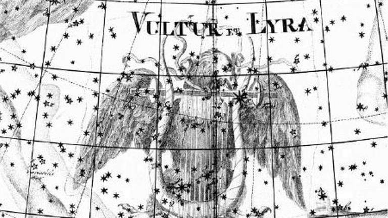 Historische Darstellung des Sternbild Leier mit dem Stern Wega, der zum Sommerdreieck gehört Historische Darstellung des Sternbild Leier mit dem Stern Wega, der zum Sommerdreieck gehört
