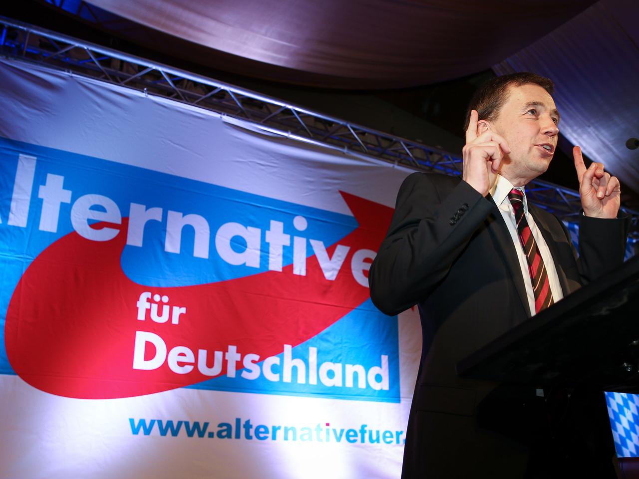 Politischer Aschermittwoch der Parteien - AfD - Parteigründer Bernd Lucke hält am 18.02.2015 beim Politischen Aschermittwoch in Osterhofen (Bayern) seine Rede.
