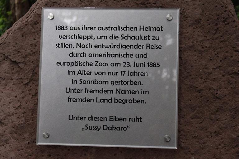 Der Gedenkstein in Wuppertal-Sonnborn erinnert an das Schicksal der verschleppten Aborigine "Sussy Dakaro". Der Gedenkstein in Wuppertal-Sonnborn erinnert an das Schicksal der verschleppten Aborigine "Sussy Dakaro".