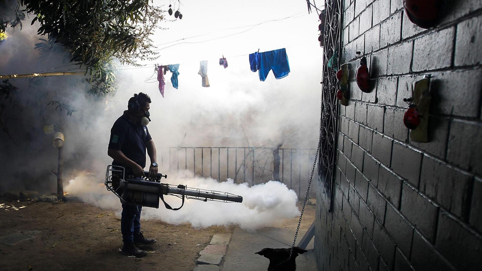 Ein Mitarbeiter des Gesundheitsministeriums von El Salvador bekämpft Mücken. Ein Mitarbeiter des Gesundheitsministeriums von El Salvador bekämpft Mücken.