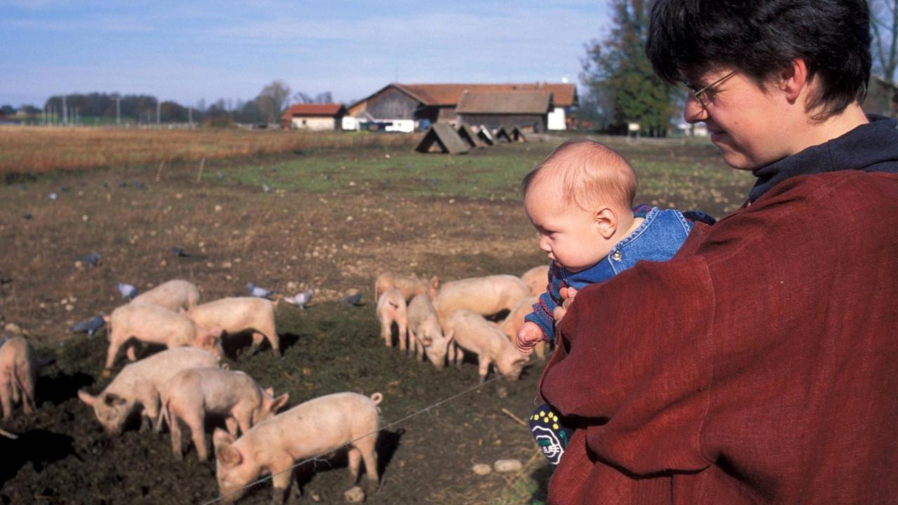Eine Mutter und ihr Baby betrachten eine Herde junger Schweine. Eine Mutter und ihr Baby betrachten eine Herde junger Schweine.
