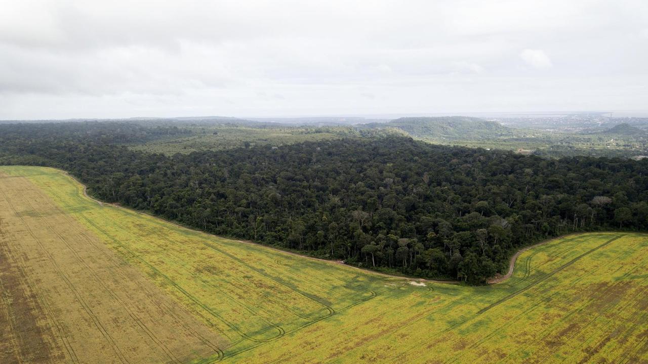 Luftaufnahme von Sojafeldern in Pará Luftaufnahme von Sojafeldern in Pará