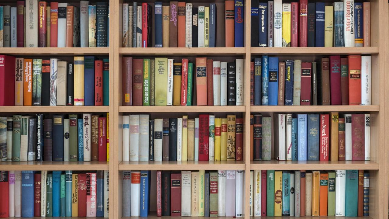 Volle Bücherregale Volle Bücherregale