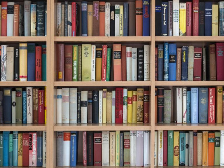 Volle Bücherregale