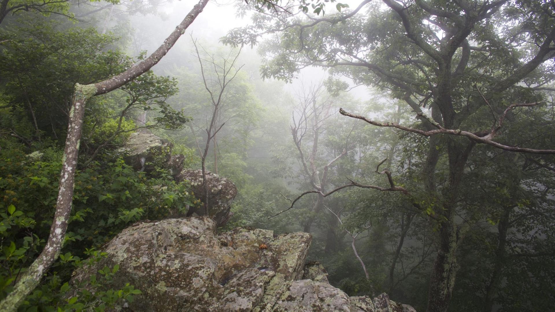Die Appalachen - ein Mittelgebirge in den USA