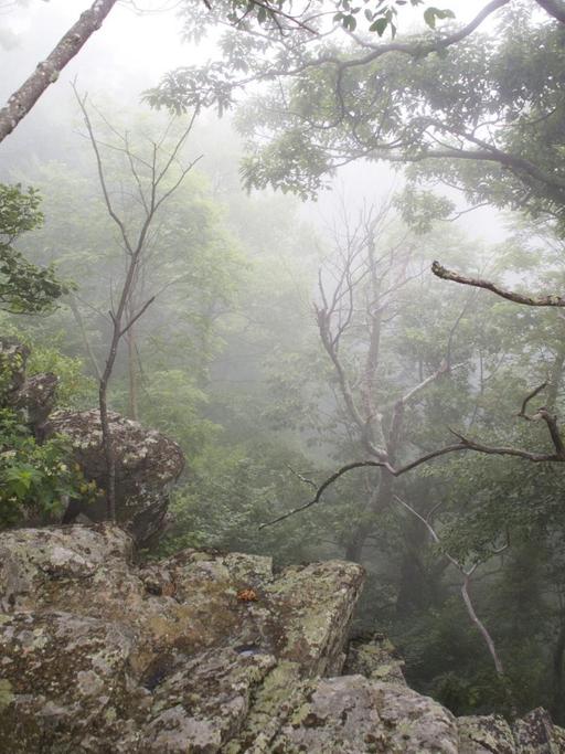 Die Appalachen - ein Mittelgebirge in den USA