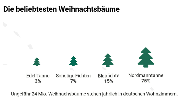 Die Grafik zeigt vier Weihnachtsbäume in unterschiedlichen Größen nach Beliebheitsgrad in Deutschland. Am beliebtesten ist die Nordmanntanne mit 75 Prozent, gefolgt von Blau-Fichte mit 15 Porzent, sonstigen Fichten mit 7 Prozent und Edel-Tanne mit 3 Prozent. Die Grafik zeigt vier Weihnachtsbäume in unterschiedlichen Größen nach Beliebheitsgrad in Deutschland. Am beliebtesten ist die Nordmanntanne mit 75 Prozent, gefolgt von Blau-Fichte mit 15 Porzent, sonstigen Fichten mit 7 Prozent und Edel-Tanne mit 3 Prozent.