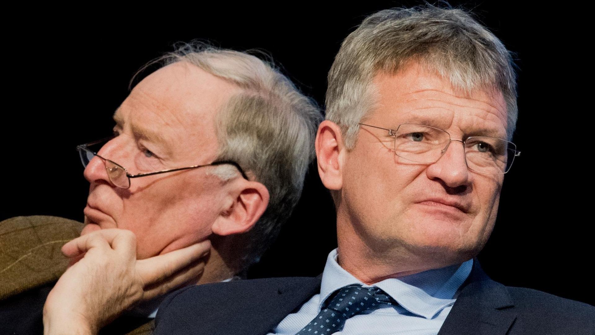 Das neue AfD-Führungsduo Gauland und Meuthen Das neue AfD-Führungsduo Gauland und Meuthen