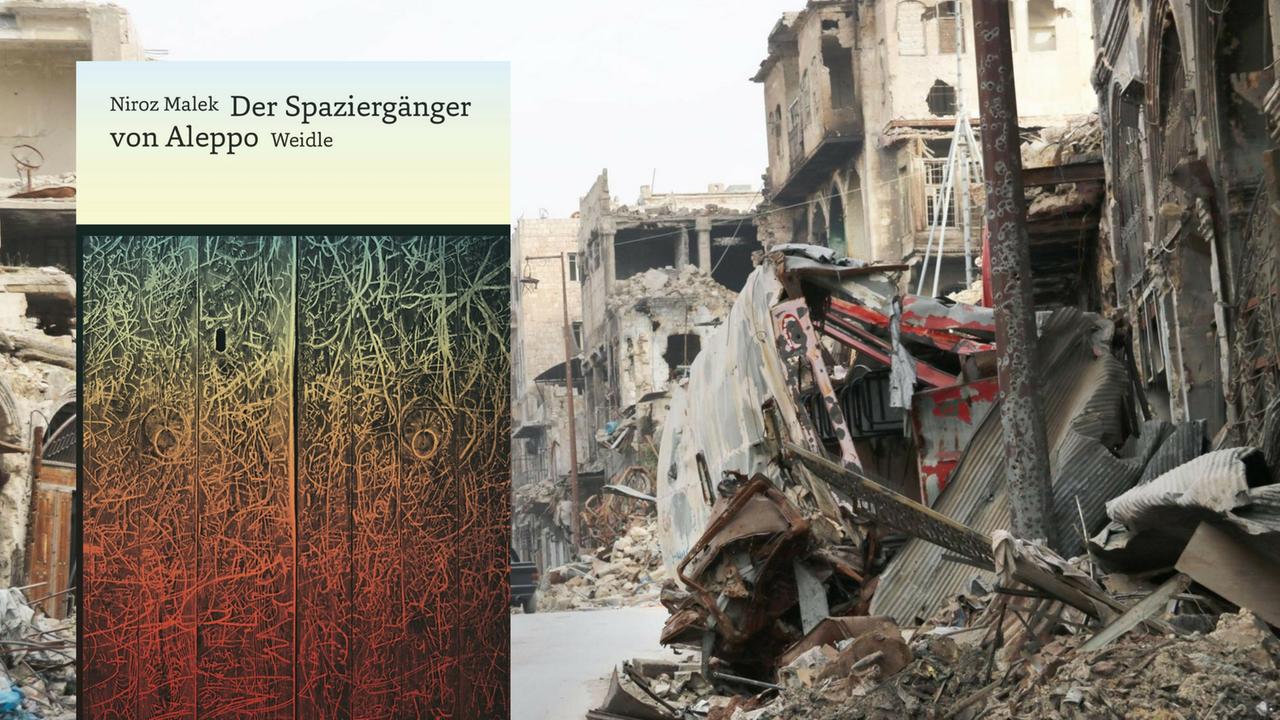 Buchcover: Niroz Malek "Der Spaziergänger von Aleppo" Buchcover: Niroz Malek "Der Spaziergänger von Aleppo"