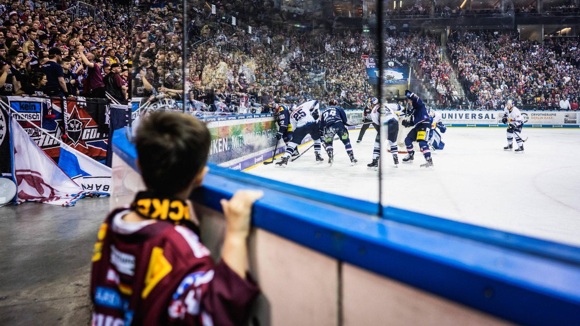 Ein Junge schaut in Berlin über die Bande beim Eishockeyspiel zwischen den Eisbären Berlin dund dem EHC München. Die Ränge des Stations sind voll besetzt. Ein Junge schaut in Berlin über die Bande beim Eishockeyspiel zwischen den Eisbären Berlin dund dem EHC München. Die Ränge des Stations sind voll besetzt.