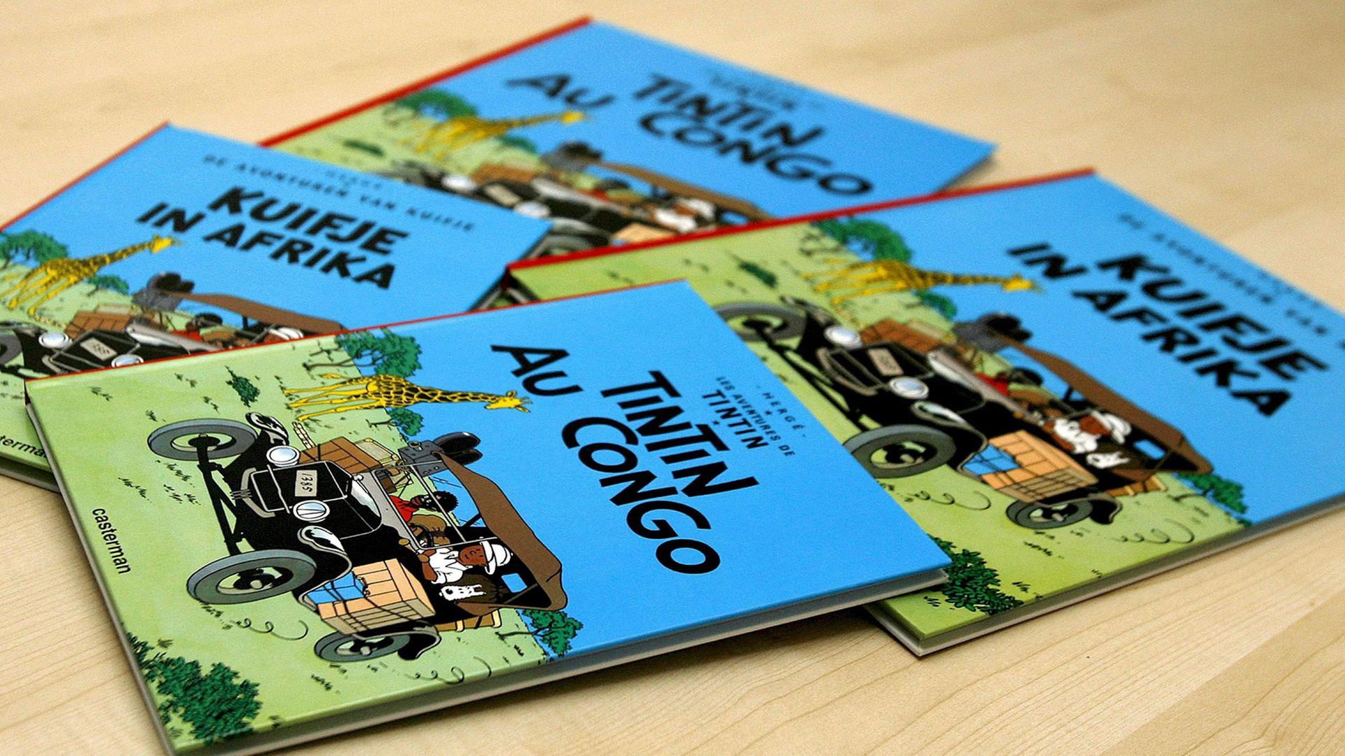 Französische, englische und niederländische Ausgaben des französischen Comics "Tintin" (deutsch: "Tim und Struppi") liegen auf einem Tisch. Französische, englische und niederländische Ausgaben des französischen Comics "Tintin" (deutsch: "Tim und Struppi") liegen auf einem Tisch.