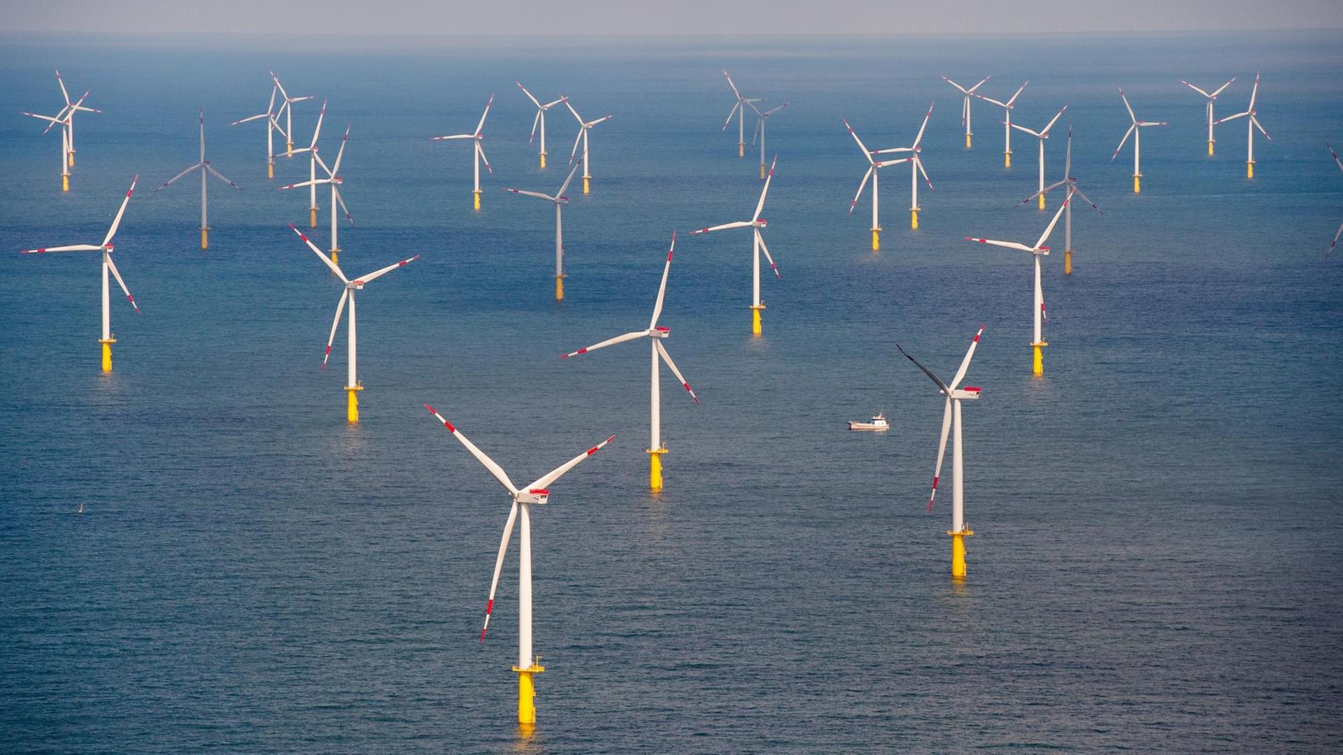 Der Offshore-Windpark Butendiek, aufgenommen am 15.08.2016 etwa 30 Kilometer vor der Insel Sylt (Schleswig-Holstein) in der Nordsee. Die Stromproduktion der Windparks in der Nordsee hat sich im ersten Halbjahr gegenüber dem Vorjahreszeitraum mehr als verdoppelt. Der Offshore-Windpark Butendiek, aufgenommen am 15.08.2016 etwa 30 Kilometer vor der Insel Sylt (Schleswig-Holstein) in der Nordsee. Die Stromproduktion der Windparks in der Nordsee hat sich im ersten Halbjahr gegenüber dem Vorjahreszeitraum mehr als verdoppelt.
