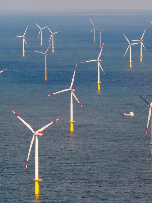 Der Offshore-Windpark Butendiek, aufgenommen am 15.08.2016 etwa 30 Kilometer vor der Insel Sylt (Schleswig-Holstein) in der Nordsee. Die Stromproduktion der Windparks in der Nordsee hat sich im ersten Halbjahr gegenüber dem Vorjahreszeitraum mehr als verdoppelt.