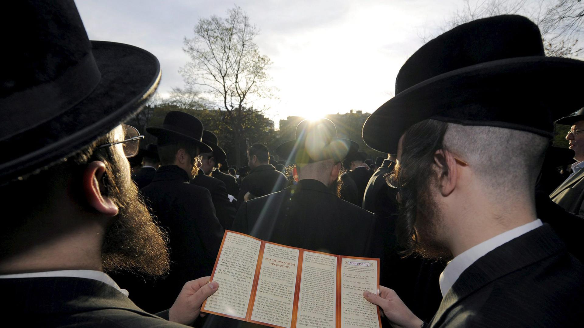 Orthodoxe Juden haben sich in Antwerpen unter freiem Himmel zum Sonnengebet versammelt und schauen in Richtung Sonne. Orthodoxe Juden haben sich in Antwerpen unter freiem Himmel zum Sonnengebet versammelt und schauen in Richtung Sonne.