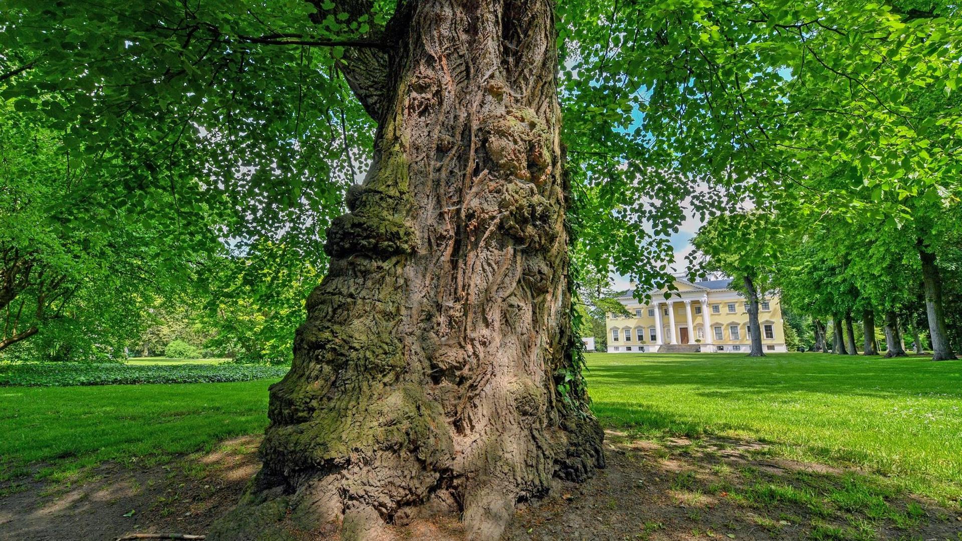 21.05.2019, Sachsen-Anhalt, Oranienbaum-Wörlitz: Blick in den weltberühmten Wörlitzer Park. Das zum Unesco-Welterbe gehörende Dessau-Wörlitzer Gartenreich ist Anziehungspunkt für tausende Touristen. Der Wörlitzer Park mit seinen Seen, Kanälen, originellen Brücken, einem Schloss und etlichen Häusern umfasst 112 Hektar. Die Anlage ließ Fürst Leopold Friedrich Franz von 1764 bis etwa 1805 als ersten öffentlich zugänglichen Landschaftsgarten in Deutschland anlegen. Foto: Hendrik Schmidt/dpa-Zentralbild/ZB | Verwendung weltweit 21.05.2019, Sachsen-Anhalt, Oranienbaum-Wörlitz: Blick in den weltberühmten Wörlitzer Park. Das zum Unesco-Welterbe gehörende Dessau-Wörlitzer Gartenreich ist Anziehungspunkt für tausende Touristen. Der Wörlitzer Park mit seinen Seen, Kanälen, originellen Brücken, einem Schloss und etlichen Häusern umfasst 112 Hektar. Die Anlage ließ Fürst Leopold Friedrich Franz von 1764 bis etwa 1805 als ersten öffentlich zugänglichen Landschaftsgarten in Deutschland anlegen. Foto: Hendrik Schmidt/dpa-Zentralbild/ZB | Verwendung weltweit