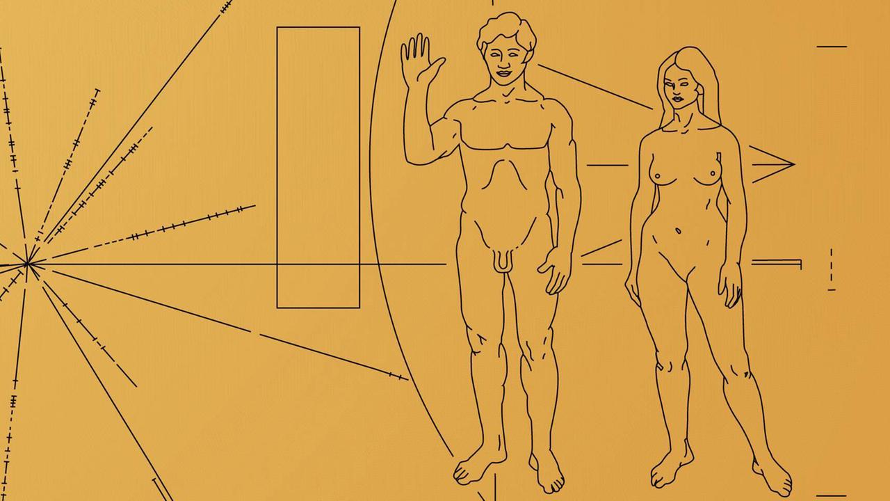 Finde den Fehler - Darstellung von Mann und Frau auf der „Golden Record“ der Voyager-Sonde Finde den Fehler - Darstellung von Mann und Frau auf der „Golden Record“ der Voyager-Sonde