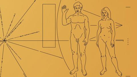 Finde den Fehler - Darstellung von Mann und Frau auf der „Golden Record“ der Voyager-Sonde