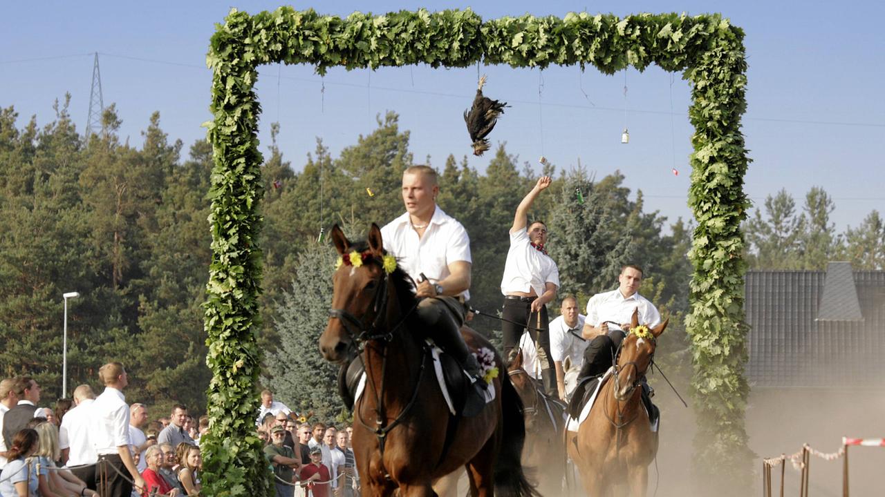 Sorbische Reiter versuchen sich beim traditionellen Hahnrupfen in Fehrow in der Niederlausitz. Sorbische Reiter versuchen sich beim traditionellen Hahnrupfen in Fehrow in der Niederlausitz.
