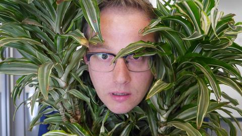 Sven van Thom schaut durch eine Pflanze.