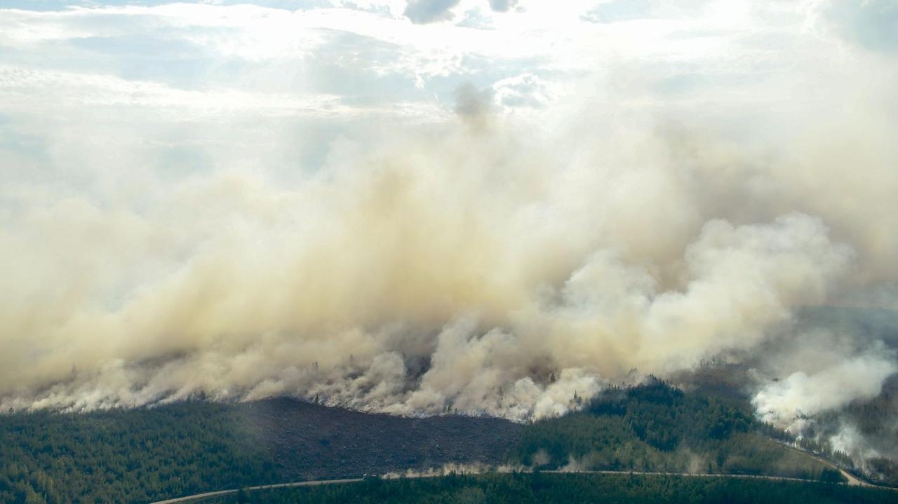 Mehr als 40 Waldbrände wüten in Schweden. Rauchwolken sind aus der Luft zu sehen.
