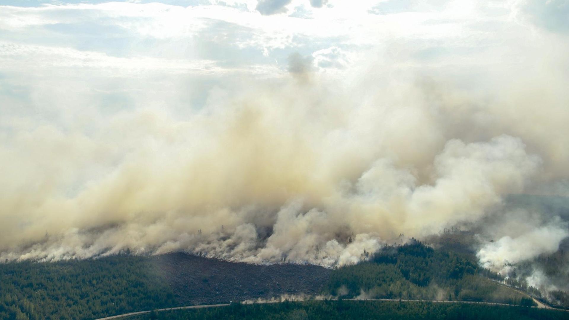Mehr als 40 Waldbrände wüten in Schweden. Mehr als 40 Waldbrände wüten in Schweden.