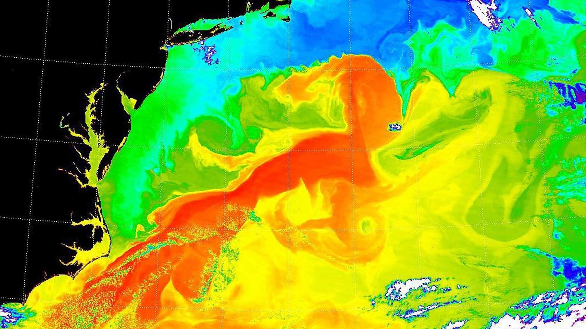 Spektoradiometer-Aufnahme der NASA des Golfstroms - die Oberflächentemperatur wird farblich dargestelle: schwarz und blau (kalt) und rot (warm). Spektoradiometer-Aufnahme der NASA des Golfstroms - die Oberflächentemperatur wird farblich dargestelle: schwarz und blau (kalt) und rot (warm).