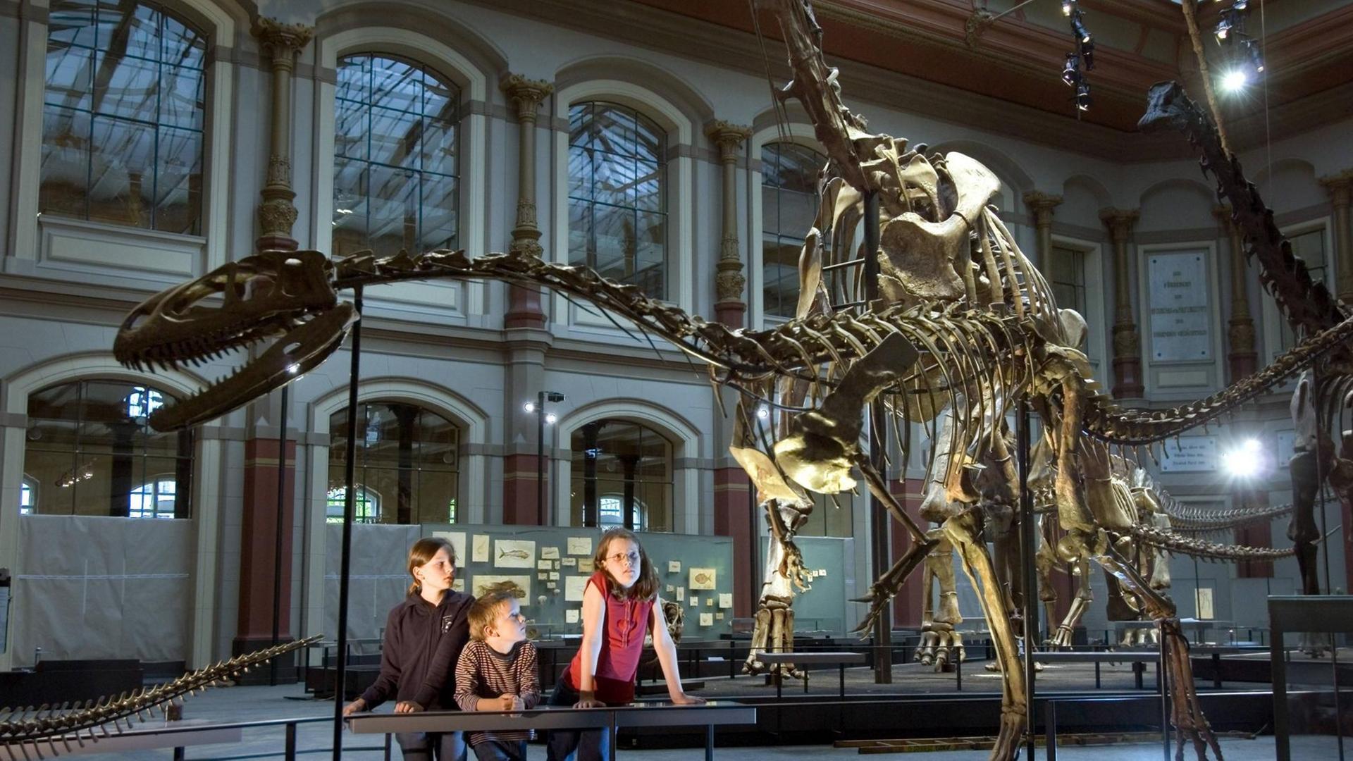 Kinder bestaunen ein Dinosaurierskelett im Berliner Museum für Naturkunde. Kinder bestaunen ein Dinosaurierskelett im Berliner Museum für Naturkunde.