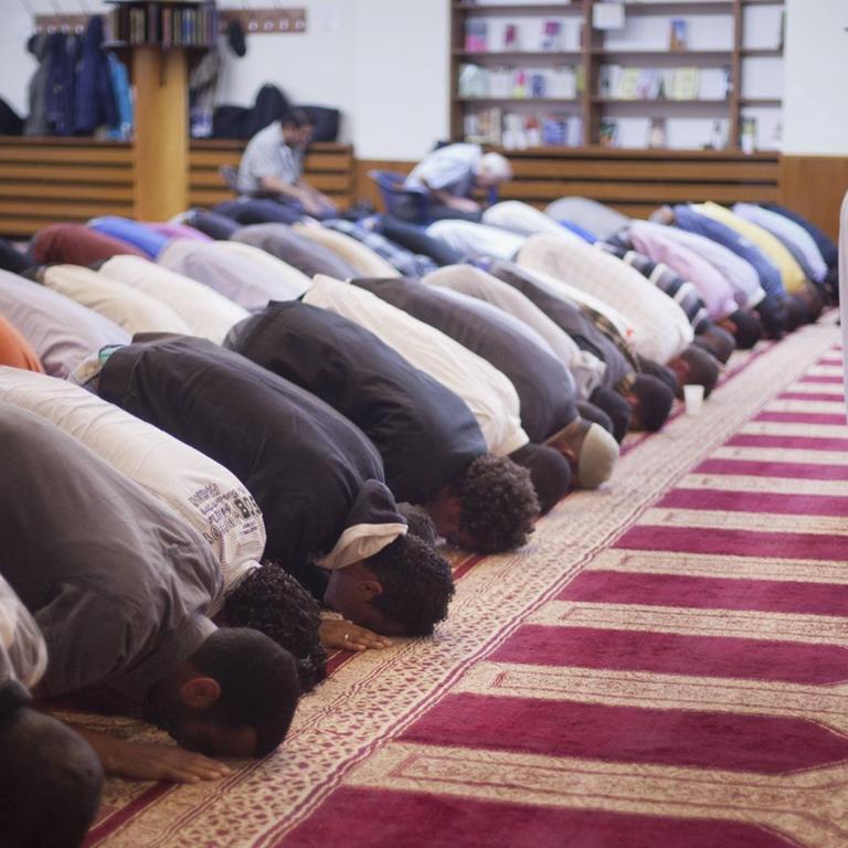 Das Bild zeigt betende Muslime beim Freitagsgebet unter Leitung von Imam Mohamed Taha Sabri 