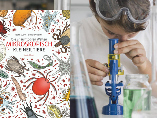 Buchcover "Die unsichtbaren Welten mikroskopisch kleiner Tiere" von Hélène Rajcak und Damien Laverdunt. Im Hintergrund ein Kind an einem Mikroskop.