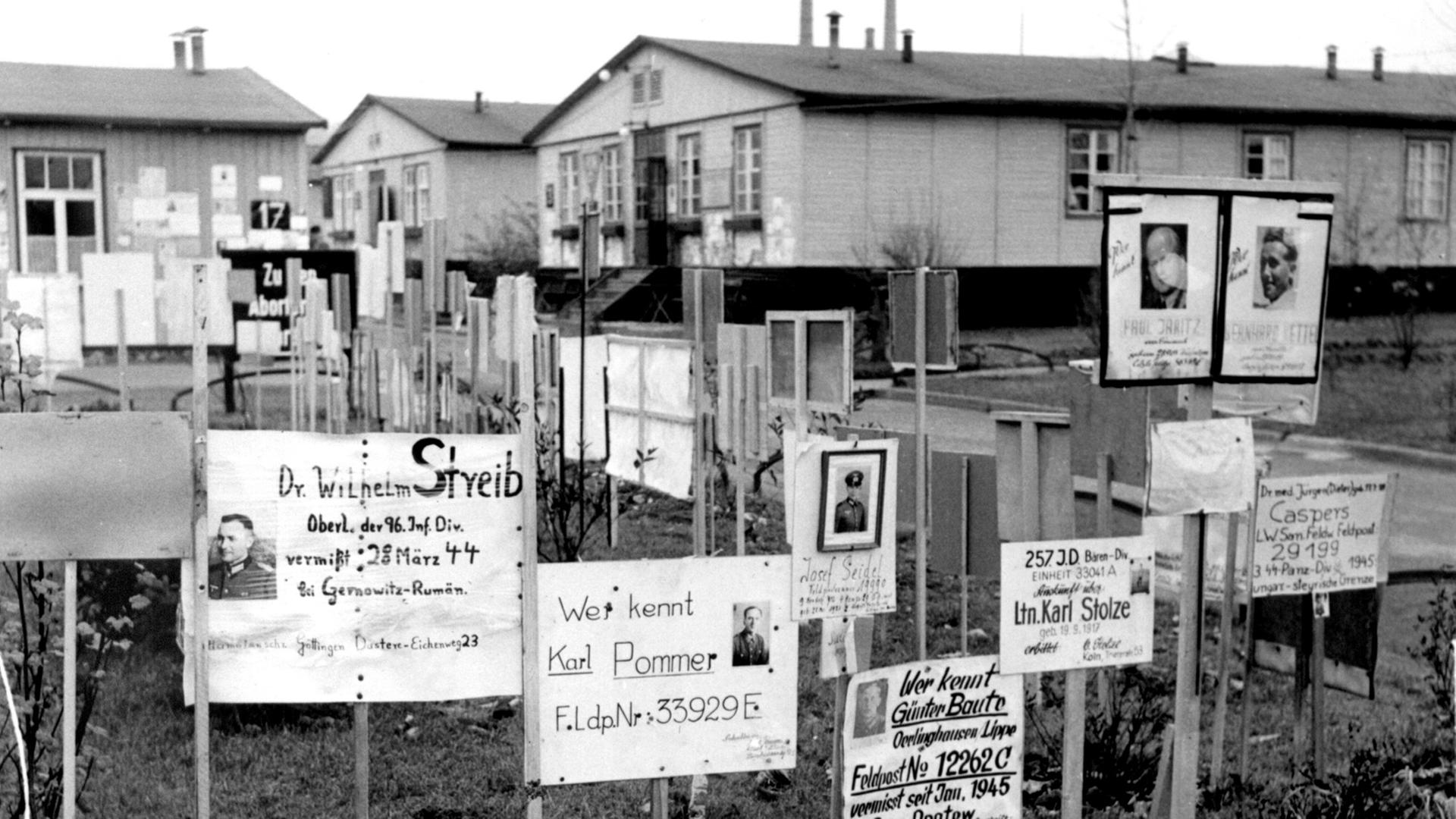Suchschilder im Lager Friedland, aufgenommen im November 1955: Die britische Armee hatte im September 1945 in dem kleinen Ort Friedland bei Göttingen ein Auffanglager für Kriegsheimkehrer, Flüchtlinge und Vertriebene eingerichtet. Suchschilder im Lager Friedland, aufgenommen im November 1955: Die britische Armee hatte im September 1945 in dem kleinen Ort Friedland bei Göttingen ein Auffanglager für Kriegsheimkehrer, Flüchtlinge und Vertriebene eingerichtet.