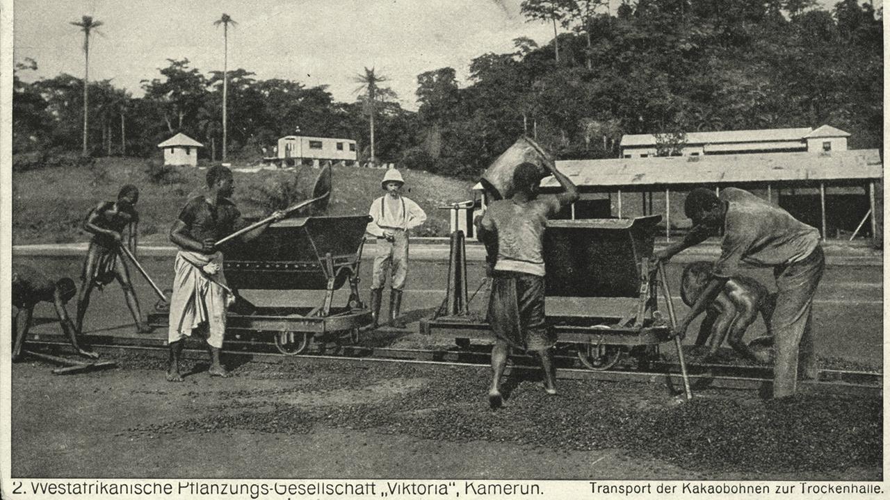 Unter Aufsicht eines deutschen Kolonisten verladen Arbeiter 1914 in Kamerun Kakaobohnen. Unter Aufsicht eines deutschen Kolonisten verladen Arbeiter 1914 in Kamerun Kakaobohnen.