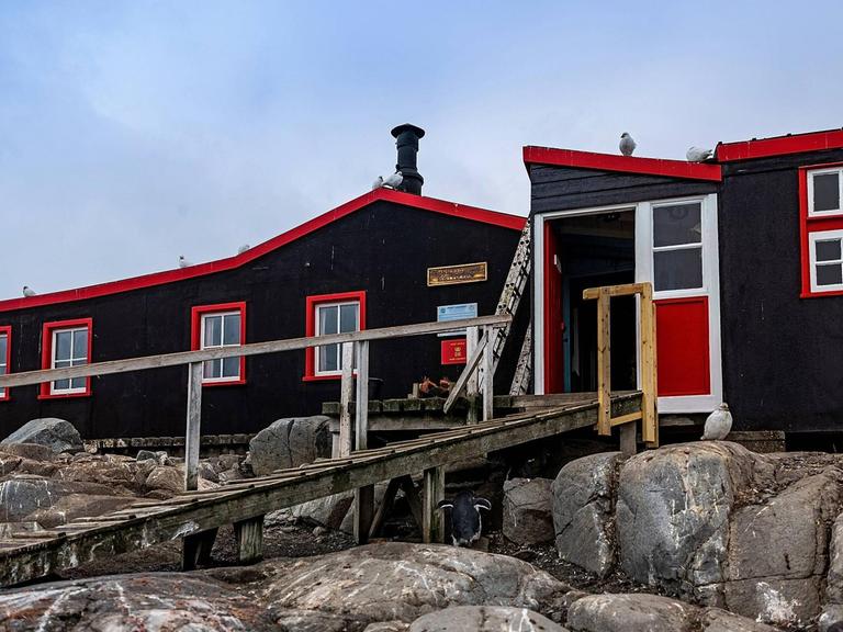 Das Pinguin Postamt auf der ehemaligen englischen Forschungsstation Port Lockroy. Port Lockroy ist ein Naturhafen im Britischen Antarktisterritorium.Die Insel ist eine der beliebtesten Touristenattraktionen in der Antarktis.