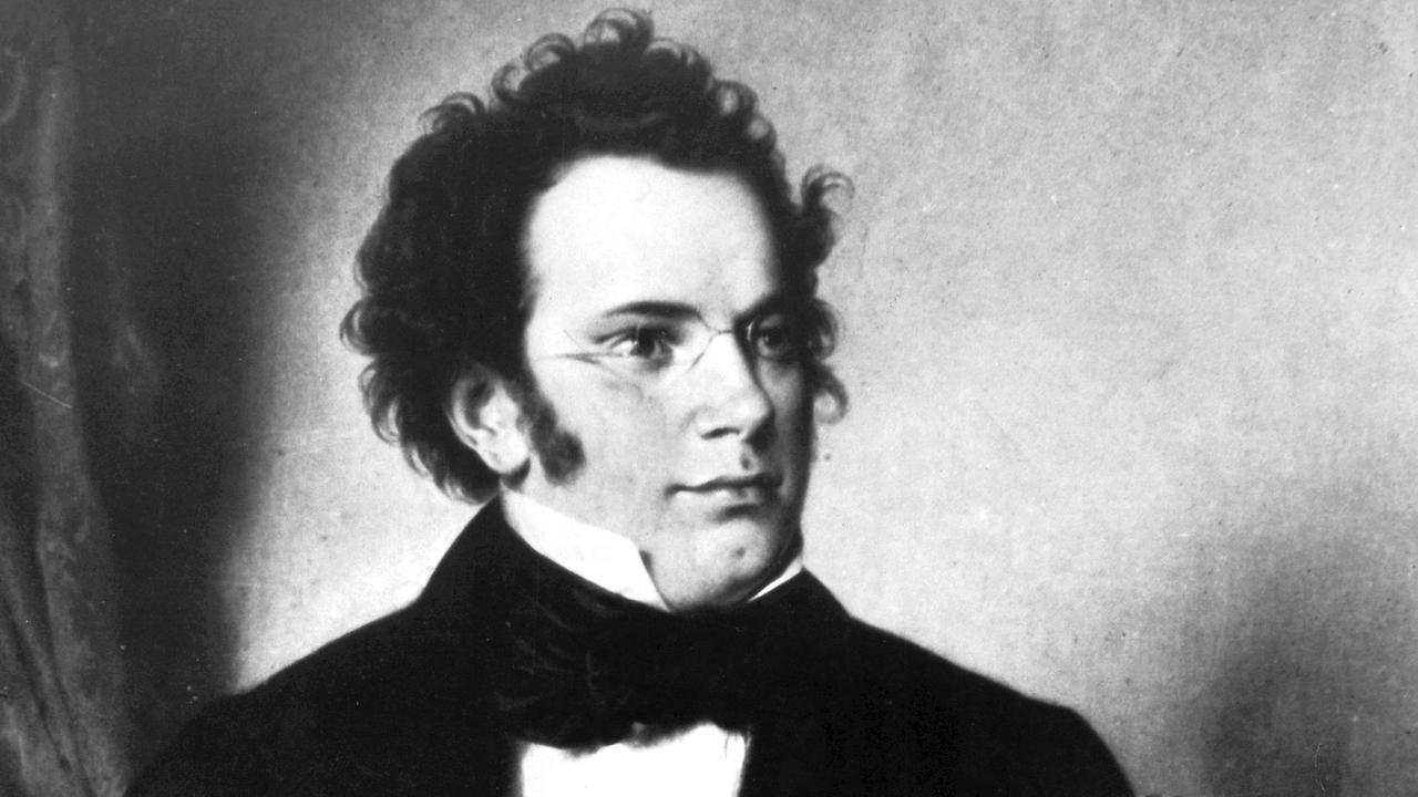 Porträt des österreichischen Musikers und Komponisten Franz Schubert