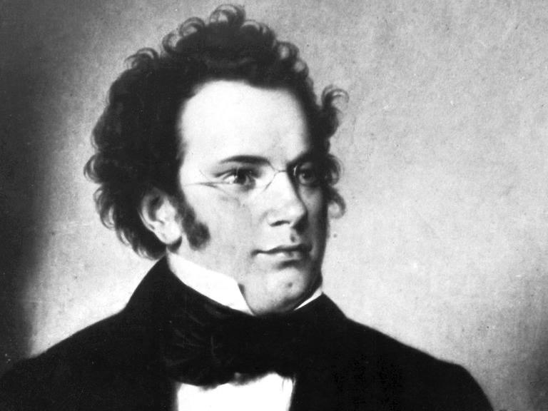 Der österreichische Musiker und Komponist Franz Schubert.