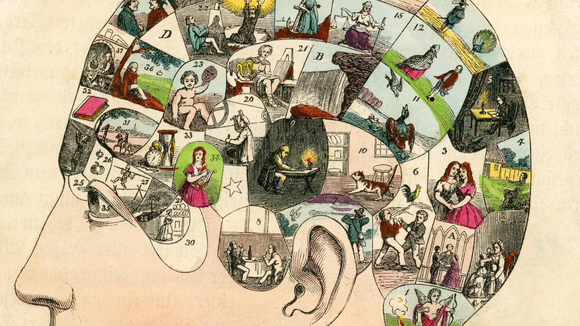 Historische Zeichnung - Visualisierung des Gehirns, Berlin ca 1866 Historische Zeichnung - Visualisierung des Gehirns, Berlin ca 1866