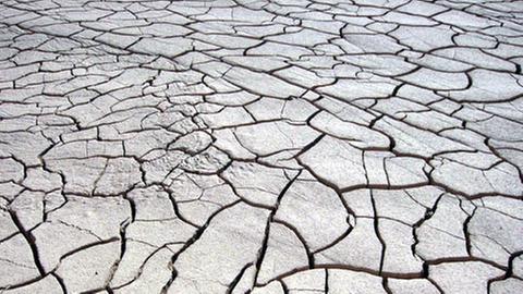 Dürre und Flut - beide Extreme kommen bei Klimaanomalien vor.