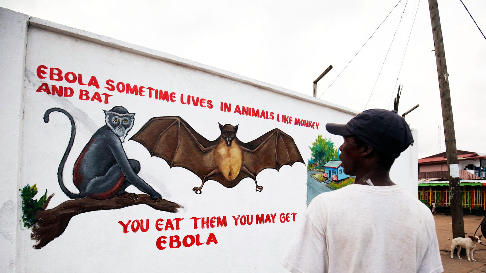 Wandmalerei warnt in Liberia vor Ebola. Wandmalerei warnt in Liberia vor Ebola.