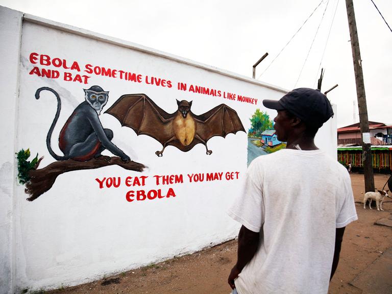 Wandmalerei warnt in Liberia vor Ebola.