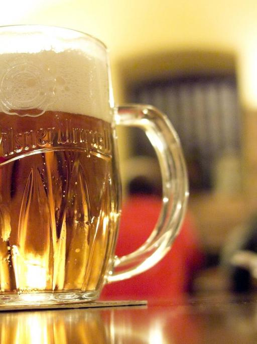 Ein Glas Pilsener Urquell Bier im Rudolfinum Bierkeller in Prag, Tschechische Republik.