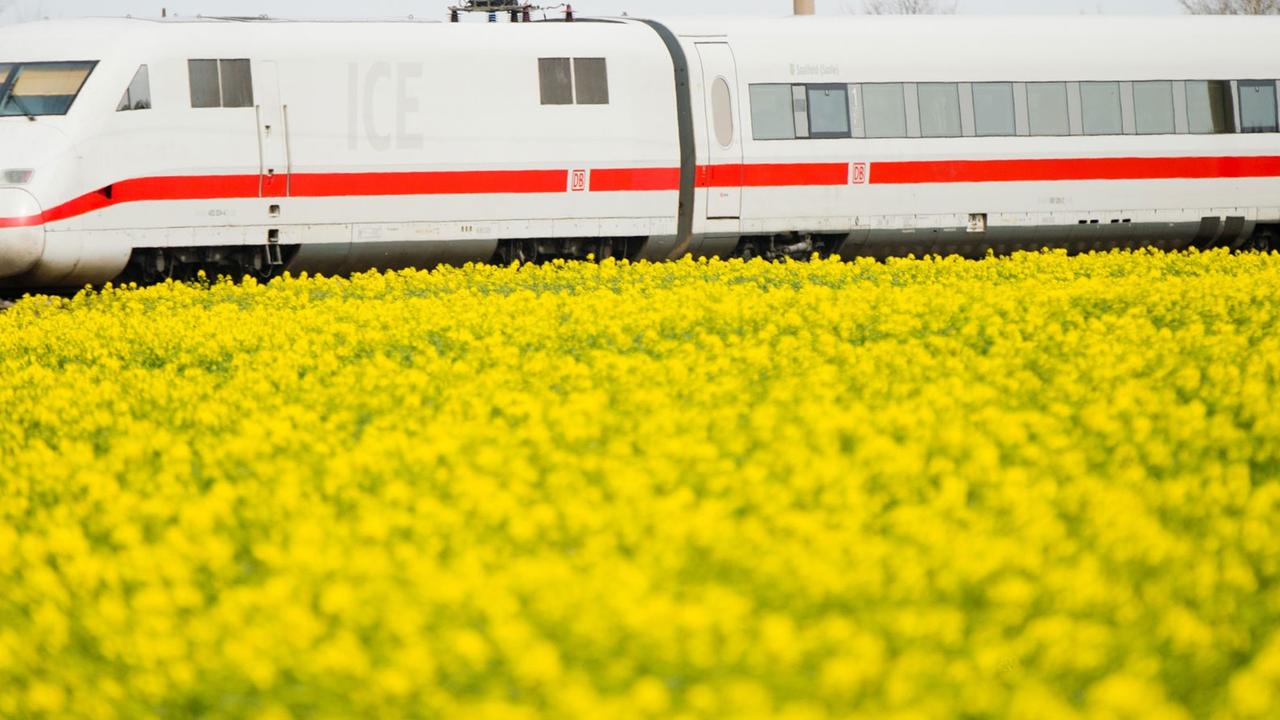 Ein ICE der Deutschen Bahn fährt an einem blühenden Rapsfeld vorbei. Ein ICE der Deutschen Bahn fährt an einem blühenden Rapsfeld vorbei.