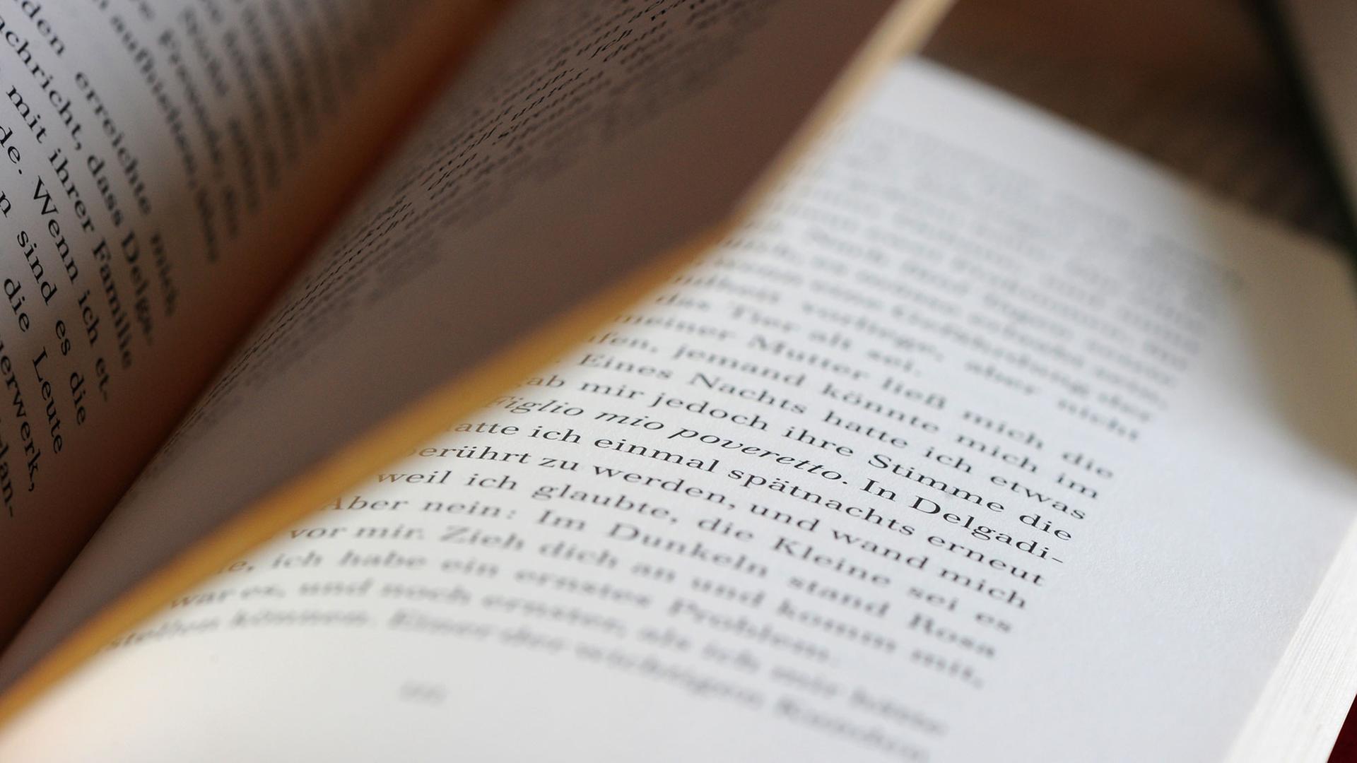 Aufgeschlagenes Buch "Erinnerung an meine traurigen Huren" von Gabriel Garcia Marquez, aufgenommen am 2.4.2012 Aufgeschlagenes Buch "Erinnerung an meine traurigen Huren" von Gabriel Garcia Marquez, aufgenommen am 2.4.2012