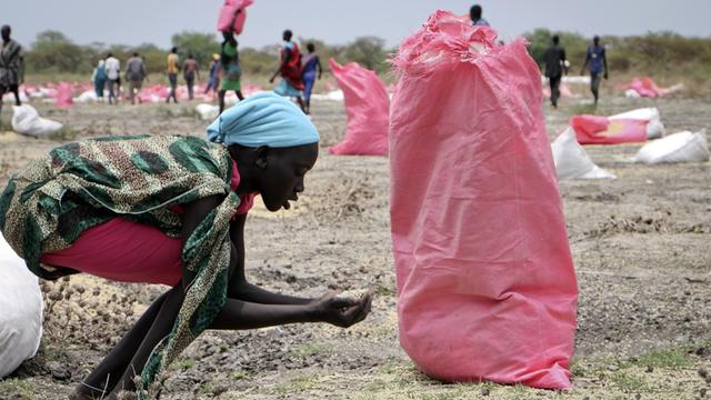 Eine Frau sammelt Getreidekörner vom Boden, aus einem kaputt gegangenen Sack, der im Rahmen des UN-Welternährungsprogramms aus einem Flugzeug bei der Stadt Kandak im Südsudan abgeworfen wurde.