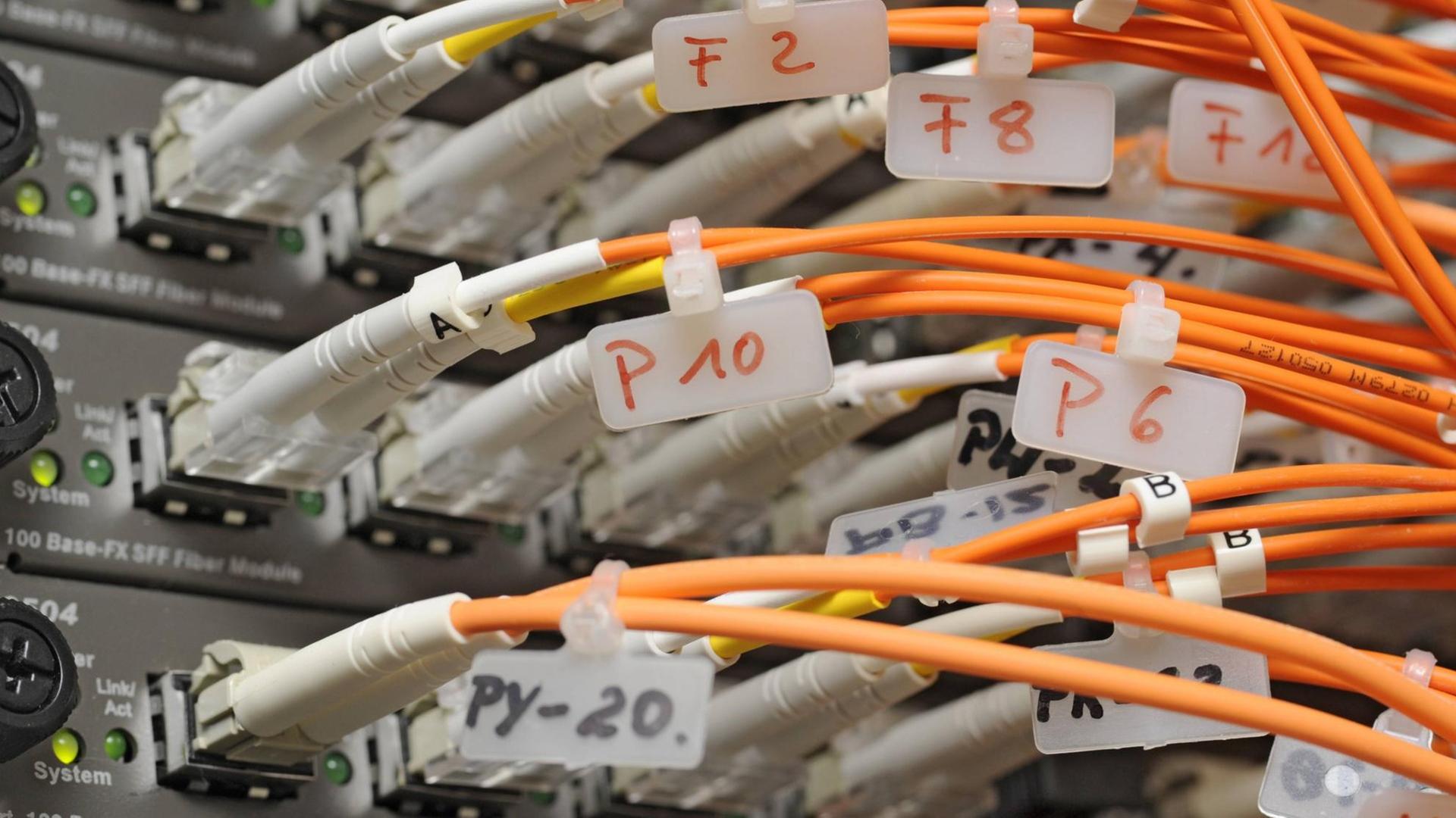 Netzwerkkabel an Internet-Servern Netzwerkkabel an Internet-Servern