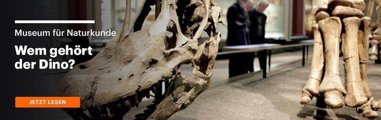 Sendereihe "Wem gehört der Dino?" Sendereihe "Wem gehört der Dino?"